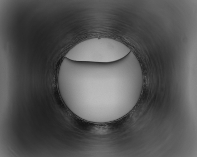 X0000097490606200802220842