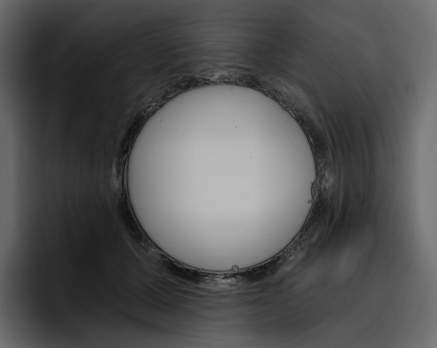 X0000097490607200802220842