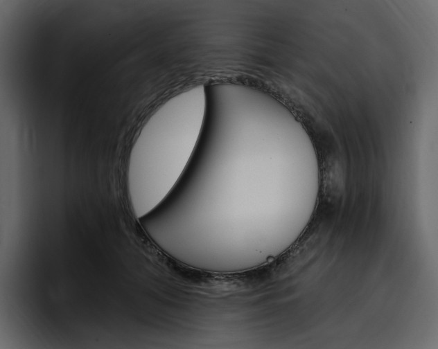 X0000097490608200802220842