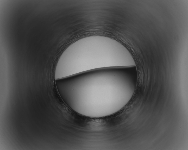 X0000097490609200802220842