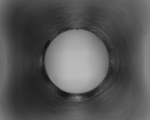 X0000097490610200802220842