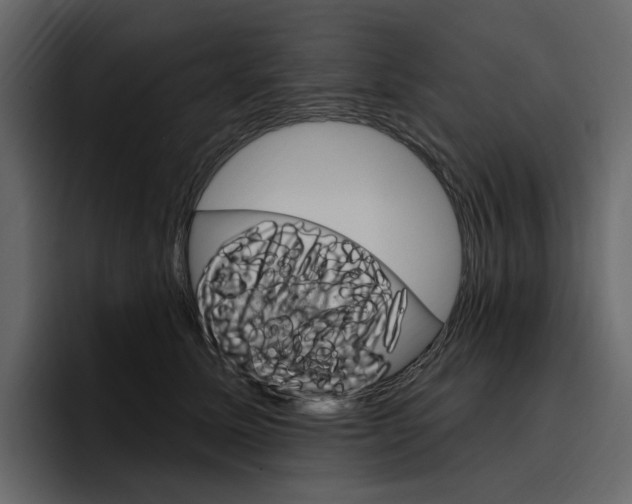 X0000097490611200802220842