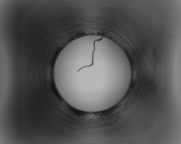 X0000097490616200802220842