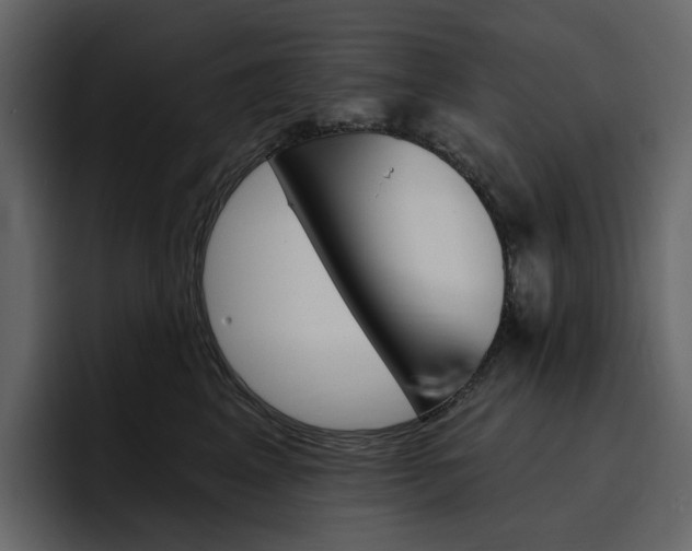 X0000097490617200802220842