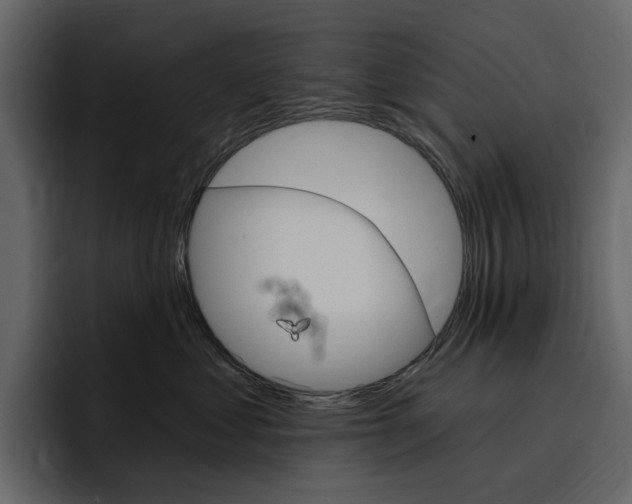 X0000097490621200802220842