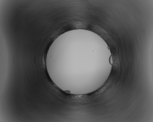 X0000097490622200802220842