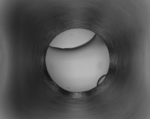 X0000097490623200802220842