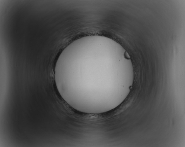 X0000097490624200802220842