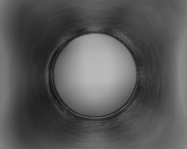 X0000097490626200802220841