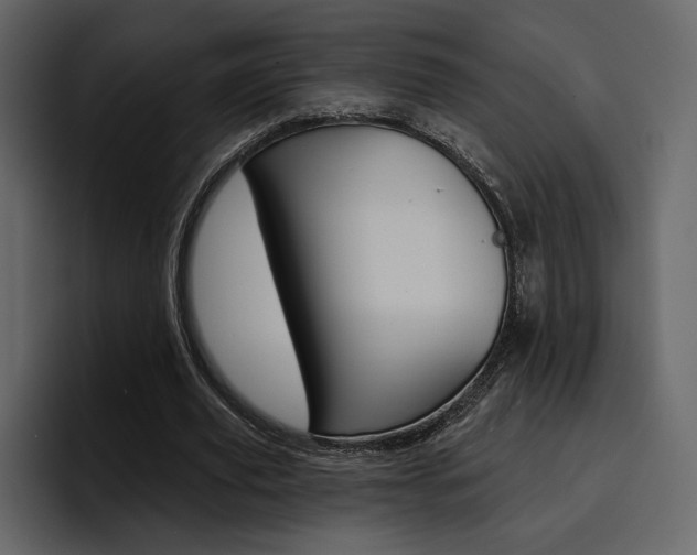 X0000097490629200802220841