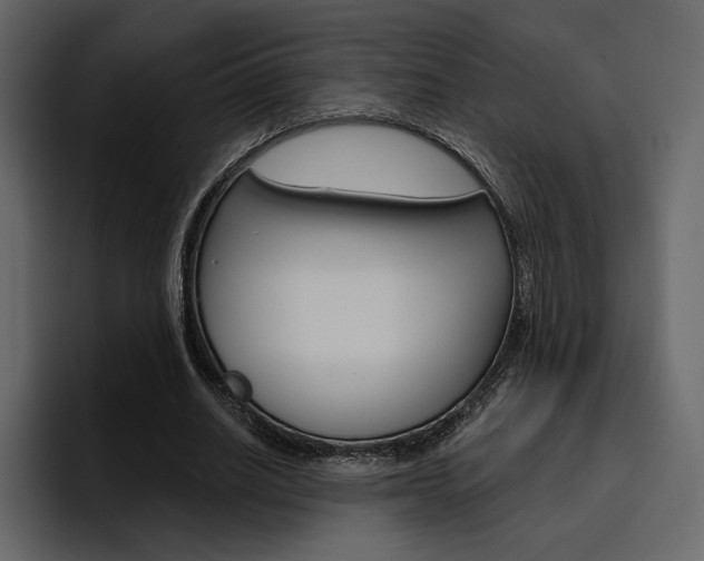 X0000097490630200802220841