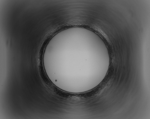 X0000097490635200802220841