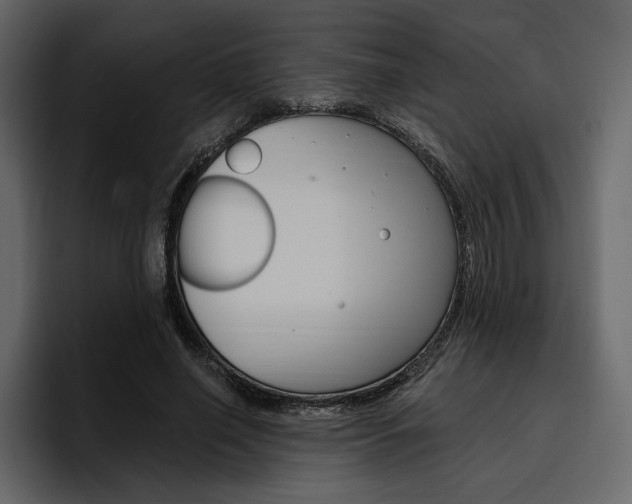 X0000097490638200802220841