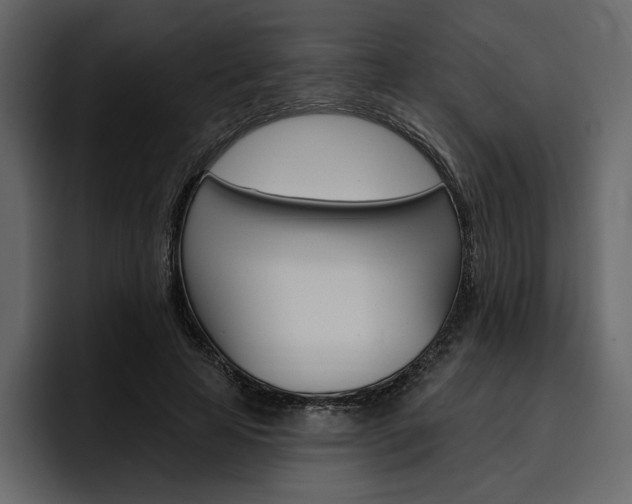 X0000097490641200802220841