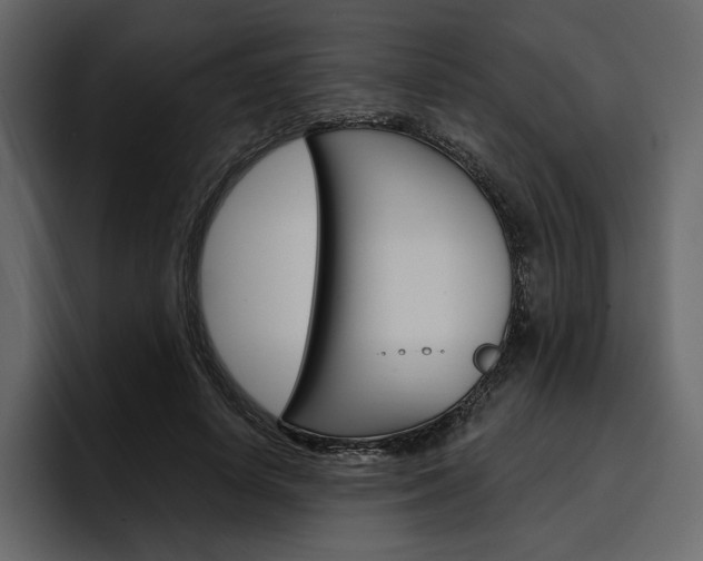 X0000097490642200802220841