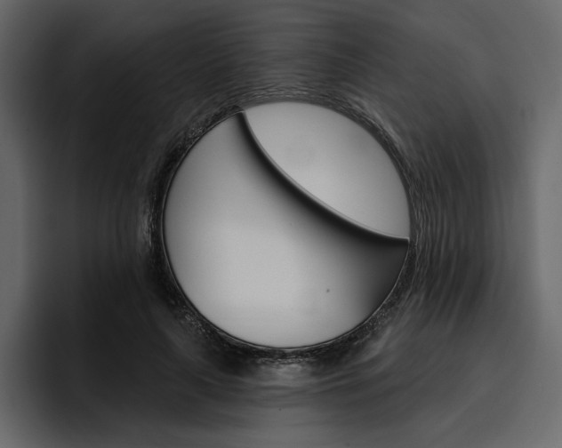 X0000097490643200802220841