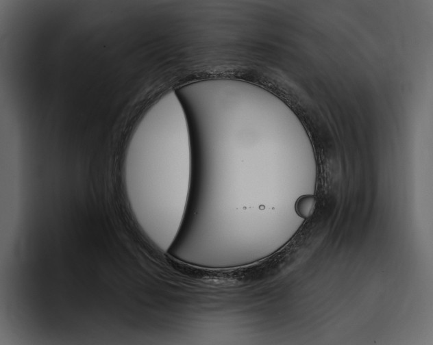 X0000097490644200802220841