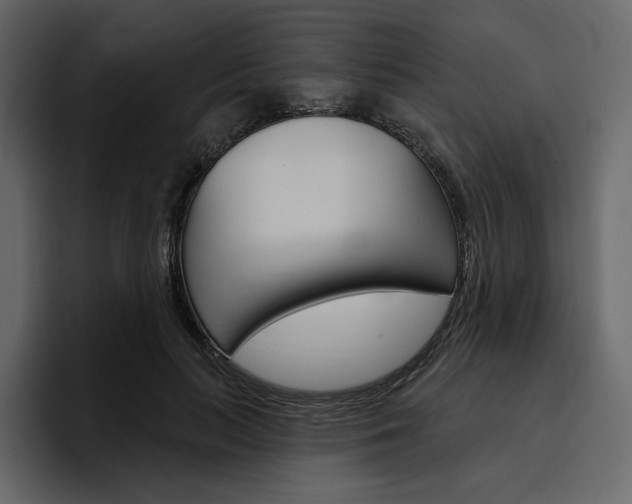 X0000097490647200802220841
