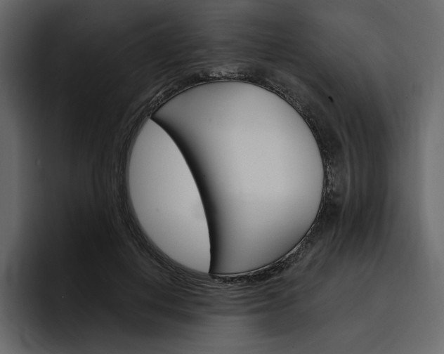 X0000097490648200802220841