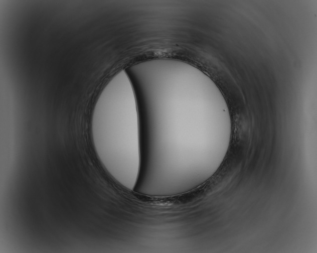 X0000097490650200802220841