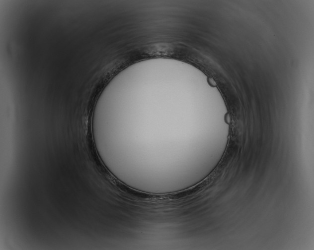 X0000097490652200802220841