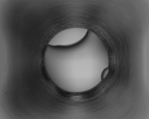 X0000097490653200802220841