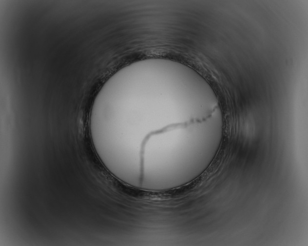 X0000097490655200802220841