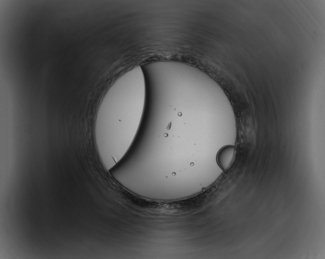 X0000097490656200802220841