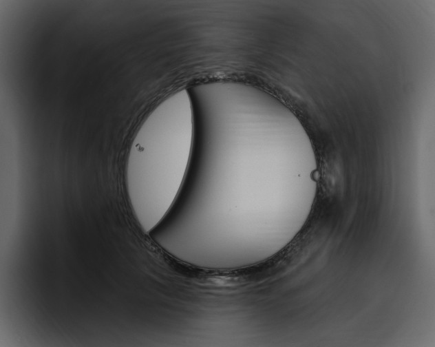X0000097490657200802220841