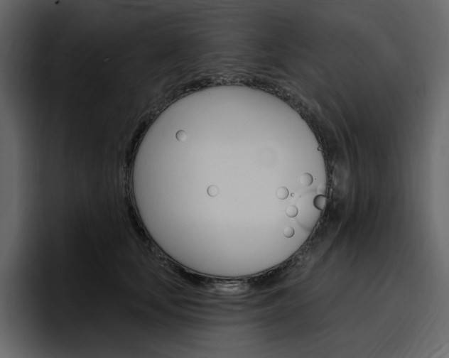 X0000097490659200802220841