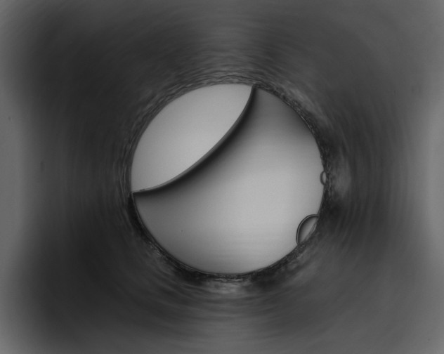 X0000097490661200802220841