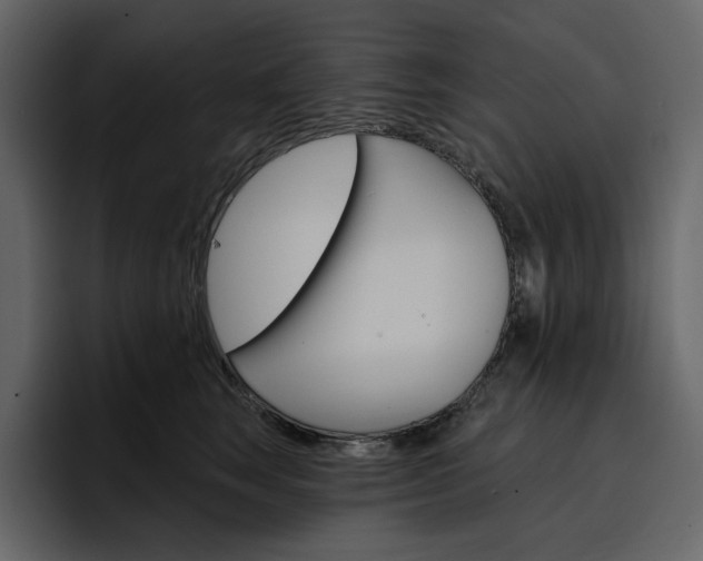 X0000097490663200802220841