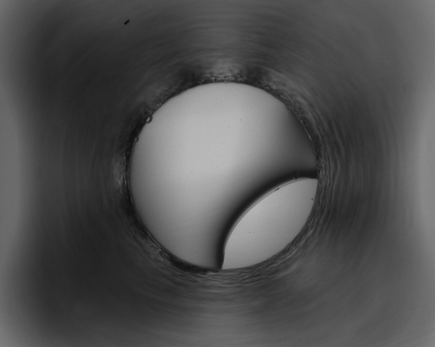 X0000097490665200802220841