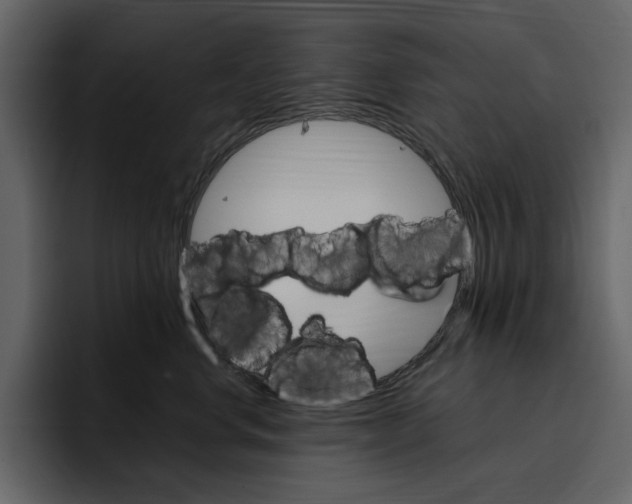 X0000097490668200802220841