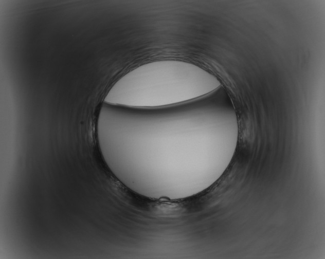 X0000097490669200802220842