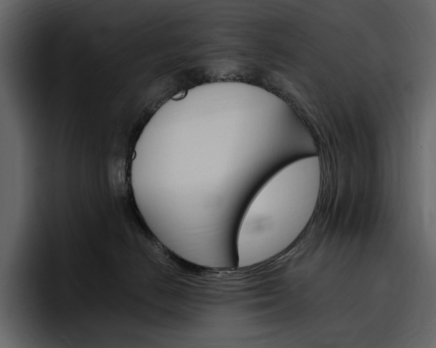 X0000097490670200802220842
