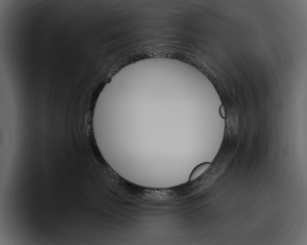 X0000097490671200802220842