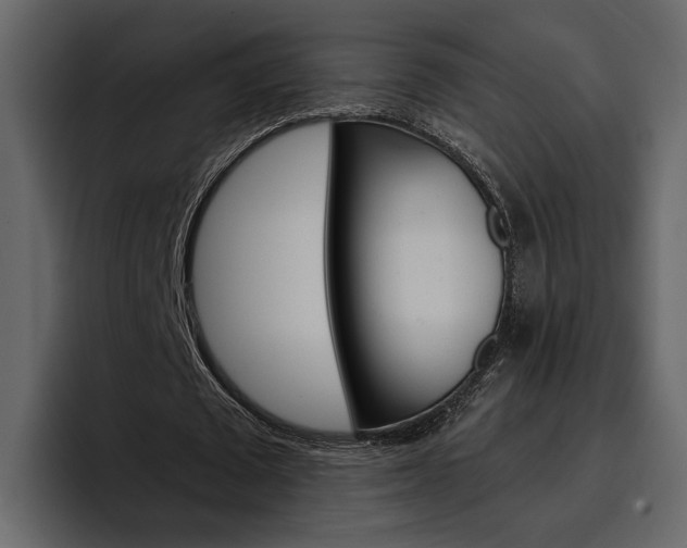 X0000097490673200802220841