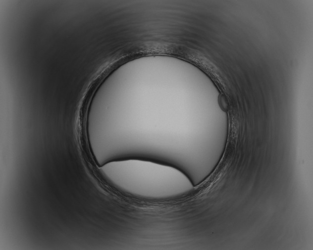 X0000097490674200802220841