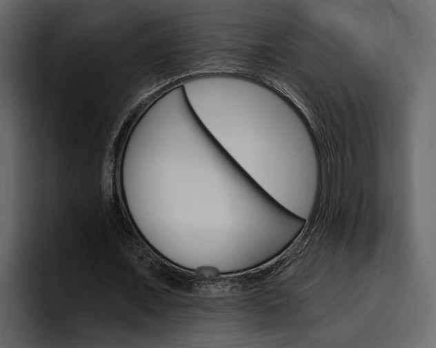 X0000097490675200802220841