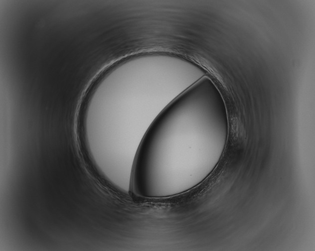 X0000097490676200802220841