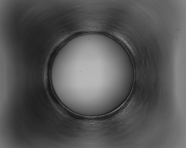 X0000097490677200802220841