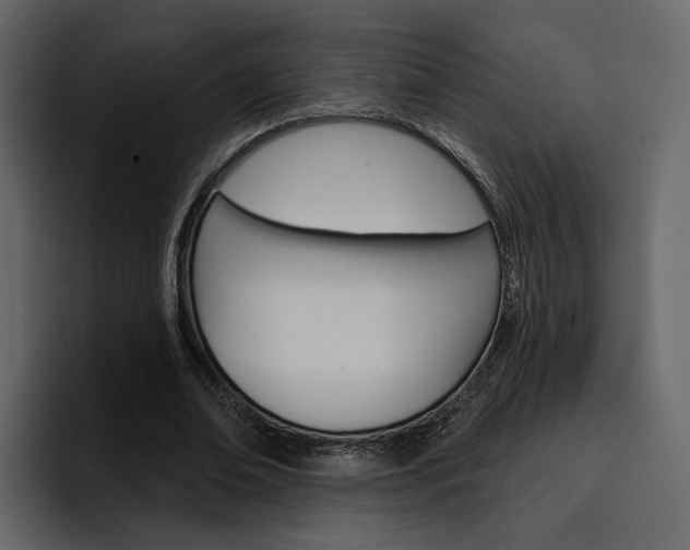 X0000097490678200802220841