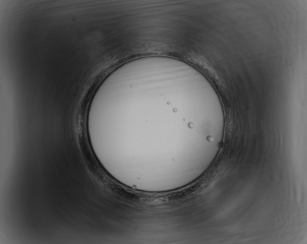 X0000097490683200802220841