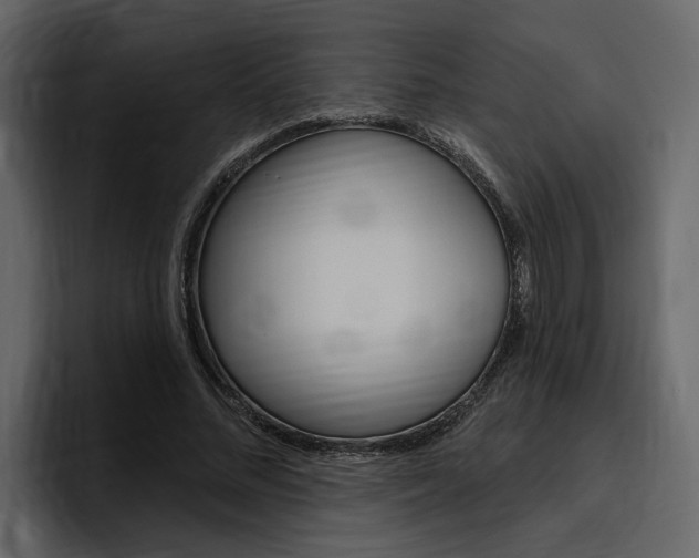 X0000097490684200802220841