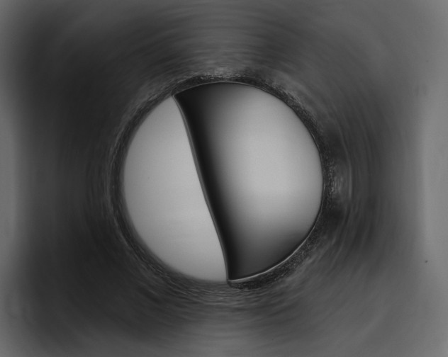 X0000097490685200802220841