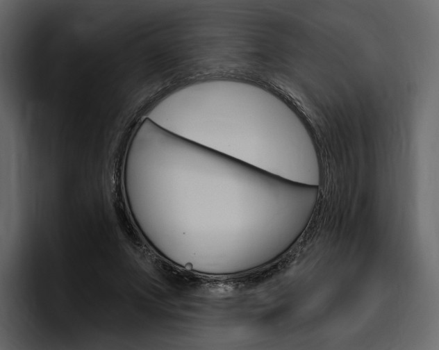 X0000097490687200802220841