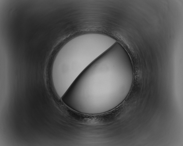 X0000097490688200802220841