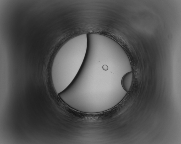 X0000097490690200802220841