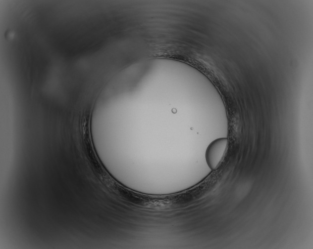 X0000097490691200802220841